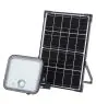 Ledvance LED Breedstraler Endura Solar Zwart 30W 4500lm - 840 Koel Wit| IP65 - Bewegingssensor